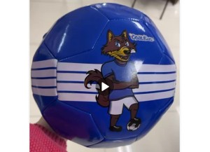 BOLA DE FUTEBOL N5 CRUZEIRO