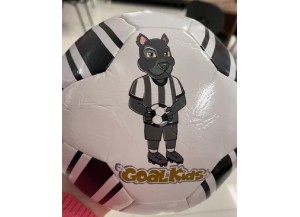 BOLA DE FUTEBOL N5 BOTAFOGO